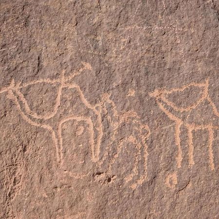Wadi Rum Albasli エクステリア 写真