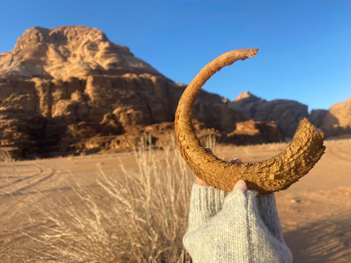 Wadi Rum Albasli エクステリア 写真