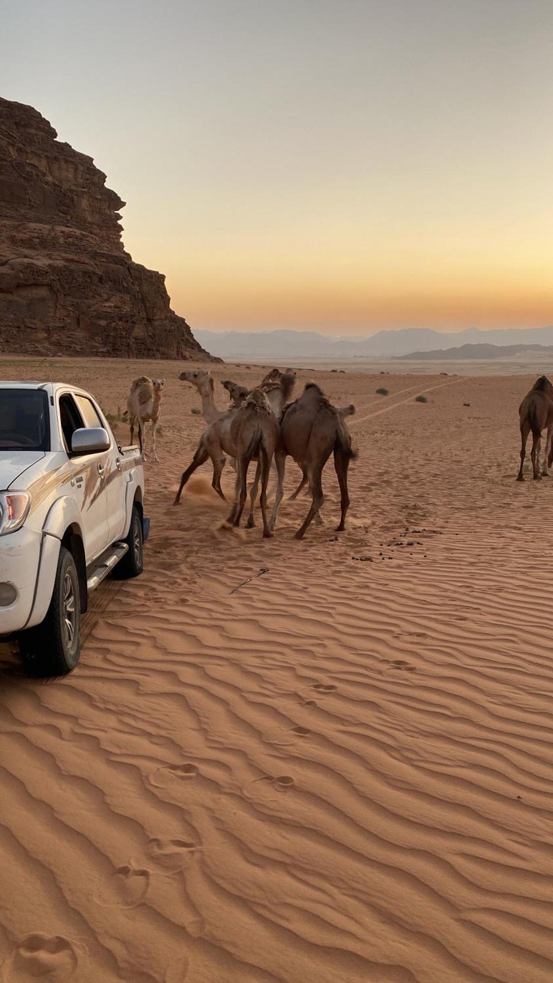 Wadi Rum Albasli エクステリア 写真