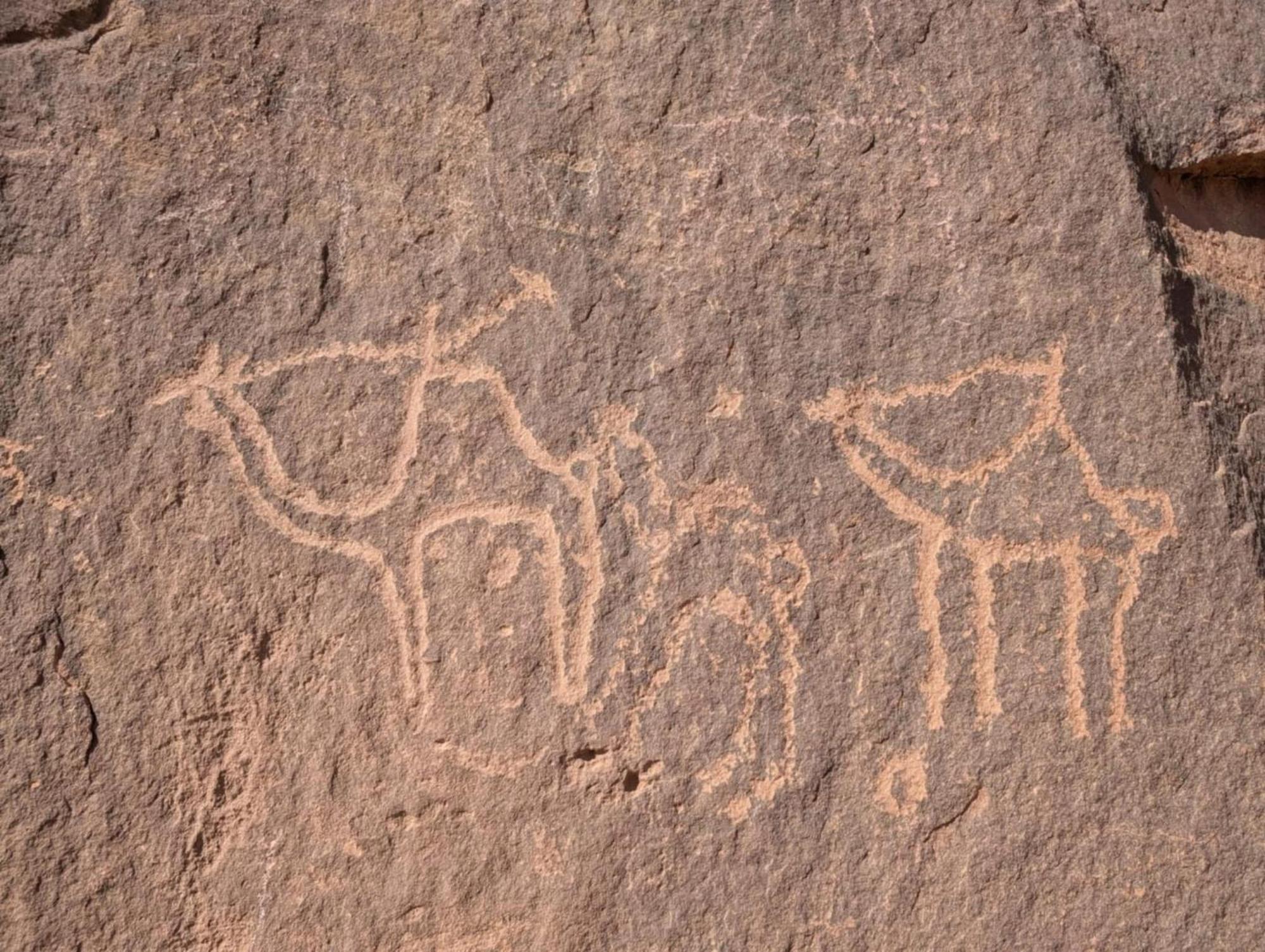 Wadi Rum Albasli エクステリア 写真