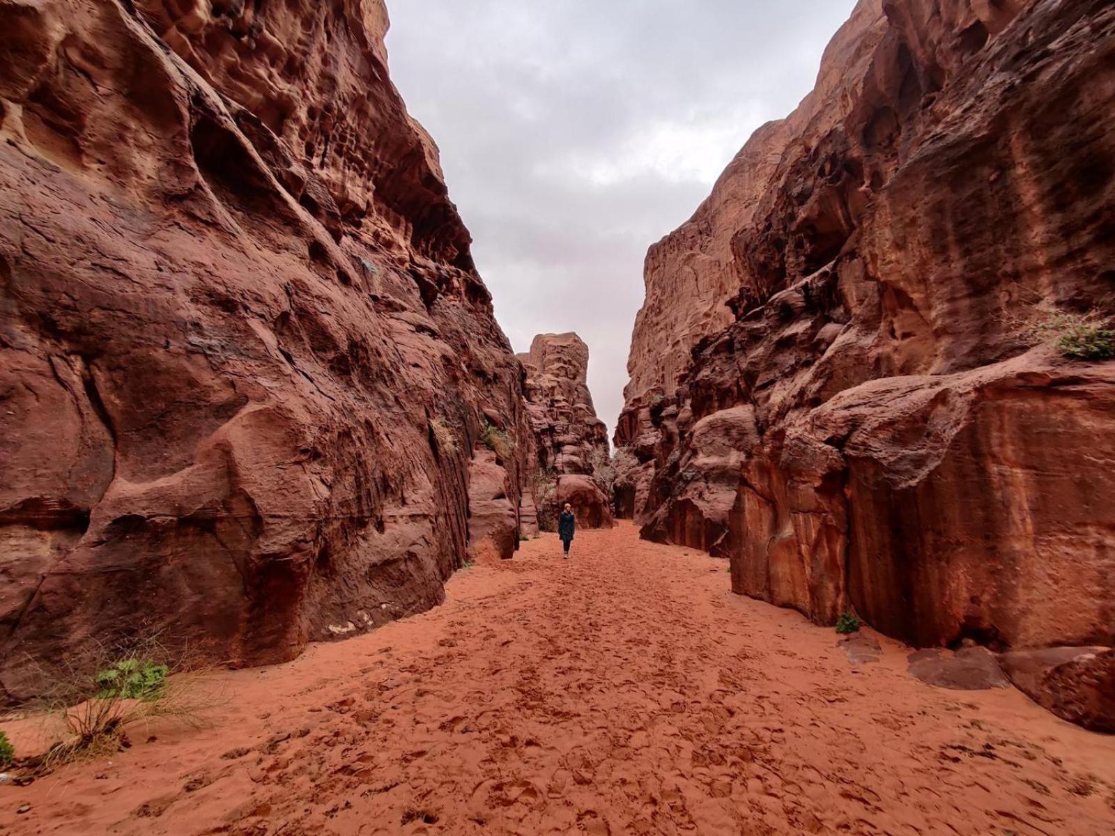 Wadi Rum Albasli エクステリア 写真